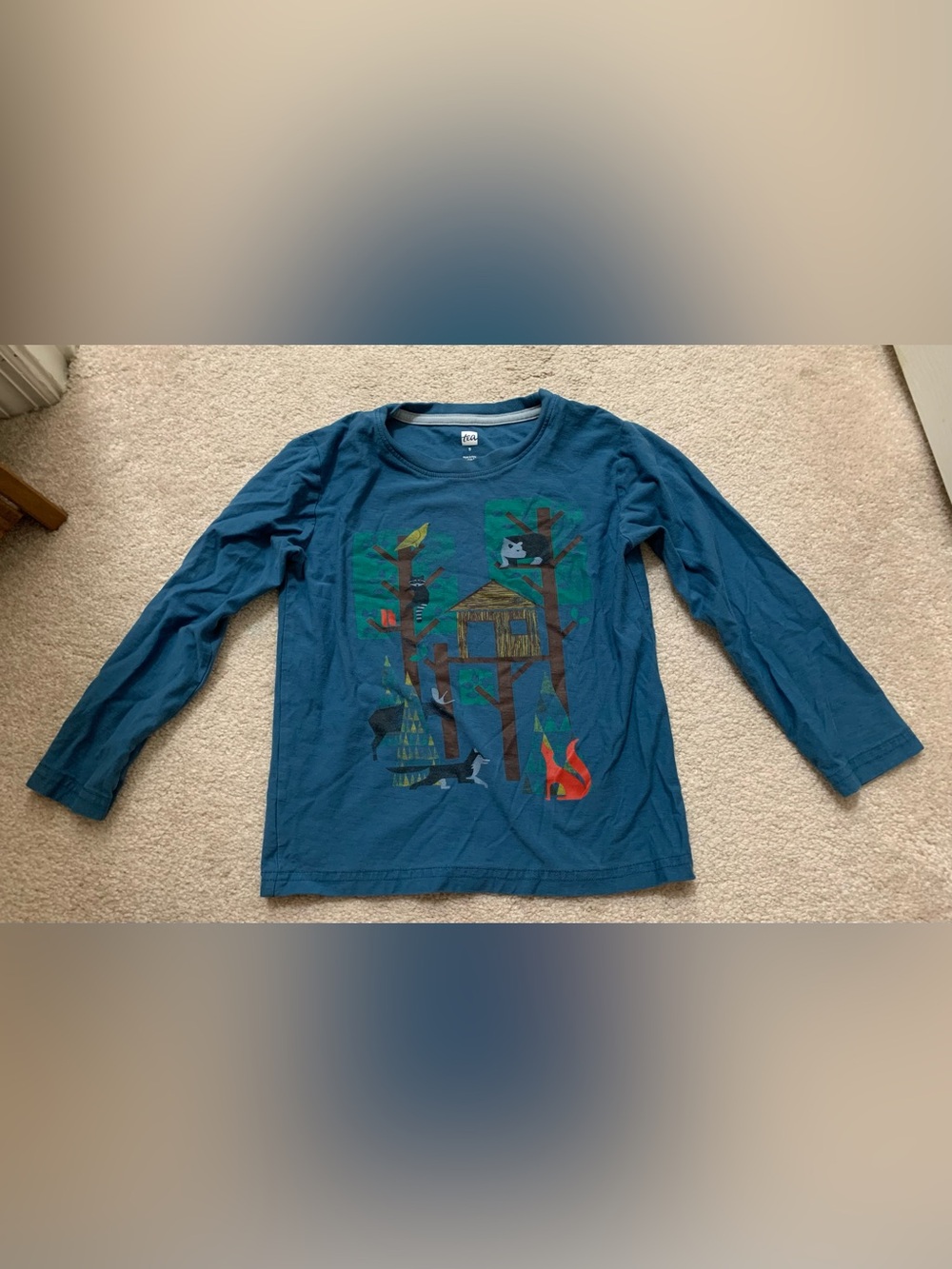 Boys Tea Collection Long Sleeve Shirt